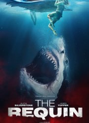 Реквин / Акула / Рекуин (2022)