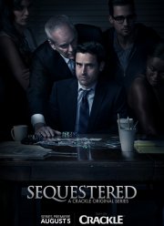 Присяжные (2014)