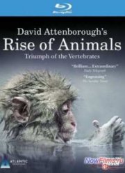 История животного мира с Дэвидом Аттенборо (2013)