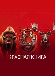 ������� ����� (2022)