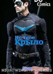 Ночное Крыло: Сериал (2014)