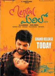 Запасной вариант (2017)