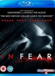 В страхе (2013)