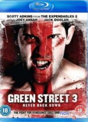 Хулиганы 3 (2013)