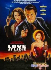 Любовь крупным планом / Случайная любовь (1990)