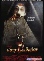 Змей и радуга (1988)