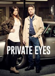 Частные сыщики (1-5 Сезон)