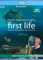 BBC: Первая жизнь (2010)