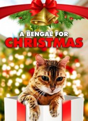 Бенгальская кошка на Рождество (2023)