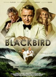 Чёрный дрозд (2022)