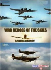 Воздушные асы войны: Победоносный