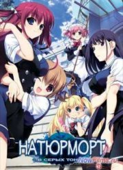 Натюрморт в серых тонах (2014)