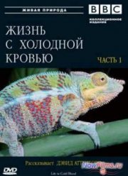 BBC: Жизнь с холодной кровью (2008)