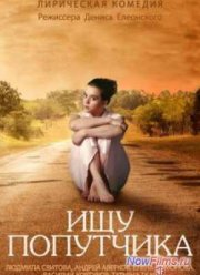 Ищу попутчика (2014)