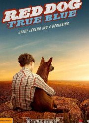 Рыжий: вся правда (2016)