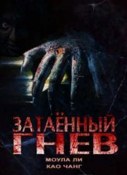 Затаённый гнев (2015)