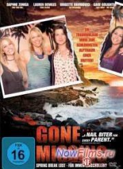 Исчезнувшая / Пропавшая без вести (2013)