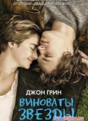 Виноваты звезды (2014)