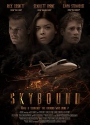 Зависшие в воздухе (2017)