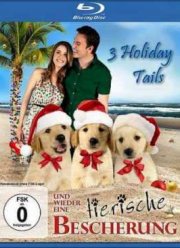 Три рождественские сказки (2011)