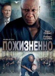 Пожизненно (2010)