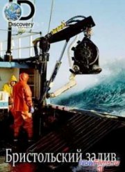 Бристольский залив (2014)