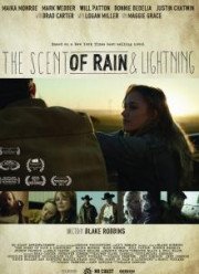 Запах дождя и молнии (2017)