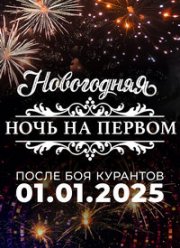 Новогодняя ночь на Первом. 30 лет вместе (2025)
