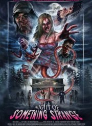 Странная ночь (2016)