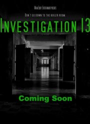 Расследование 13 (2019)