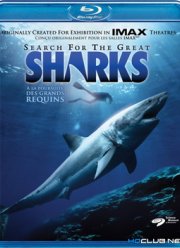 Смотреть В поисках больших акул (1995) Онлайн
