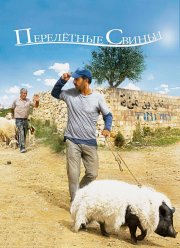 ���������� ������ (2011)