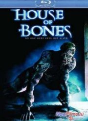 Дом из костей (2010)