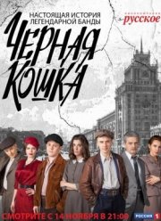 Черная кошка (2016)