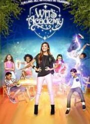 Академия Уитс (2015)