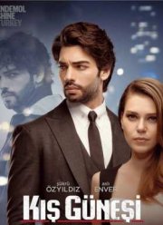 Зимнее солнце (2016)