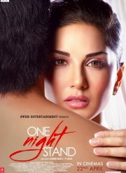 На одну ночь (2016)
