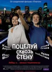 Поцелуй сквозь стену (2011)