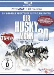 Смотреть Человек хаски (2011)
