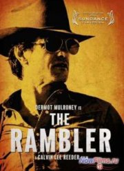 Бродяга (2013)