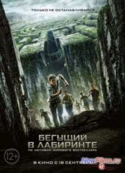 Бегущий в лабиринте (2014)