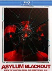 Инцидент (2011)