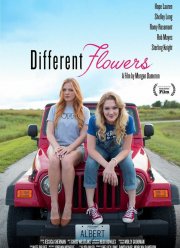 Разного поля ягоды (2017)