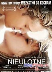 Прочный (2013)