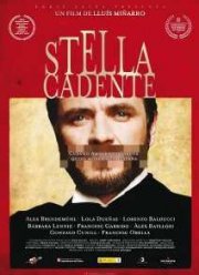 Падающая звезда (2014)