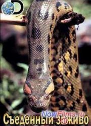 Съеденный заживо (2014)