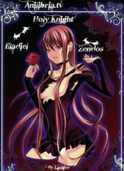 Святой Рыцарь (2012)