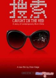 Пойманные в сеть (2012)