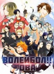 Волейбол!! ОВА (2015)