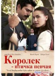 Королек – птичка певчая (2013)